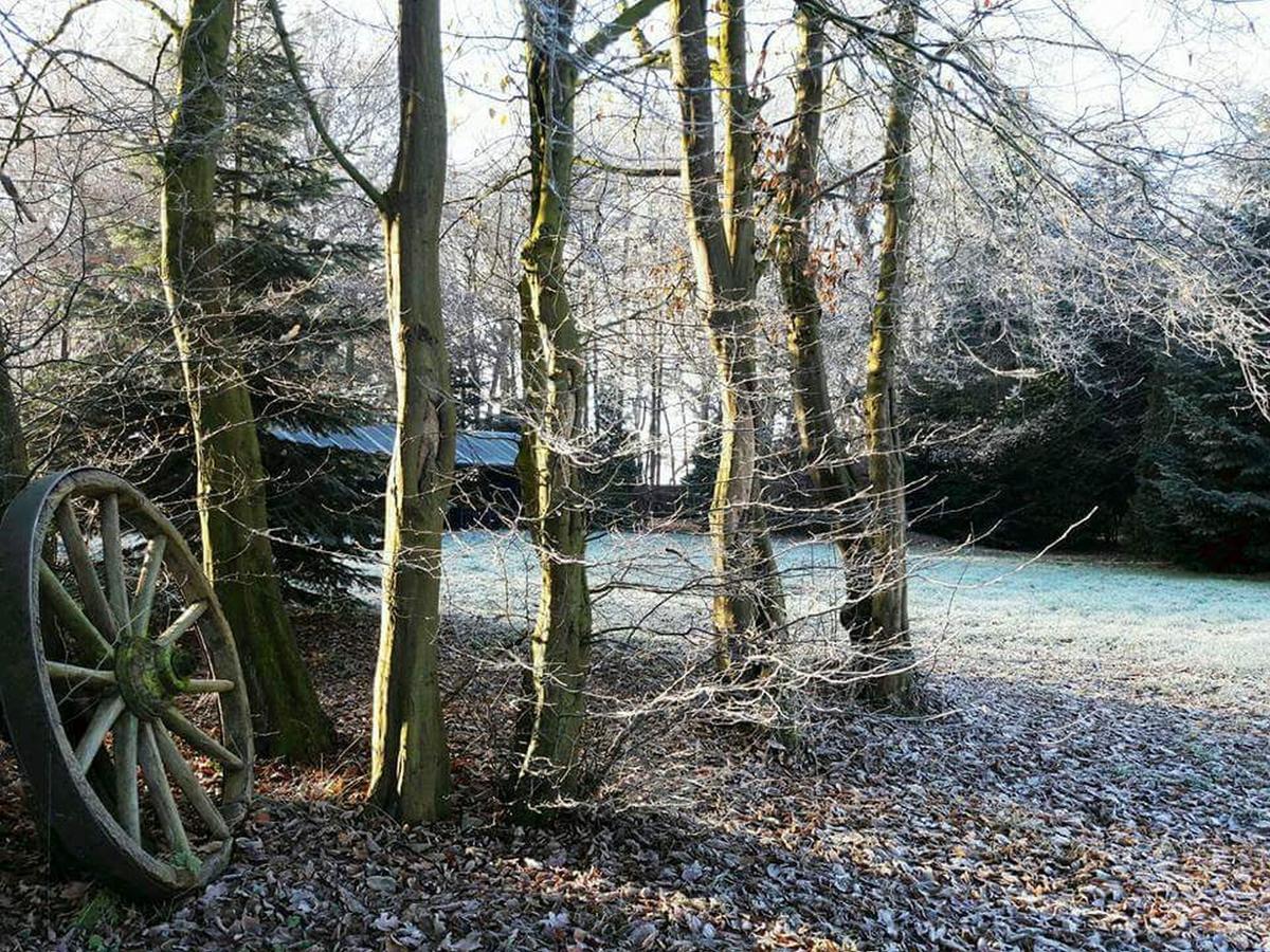 Zur Schanze Holtgast-Apen Екстер'єр фото